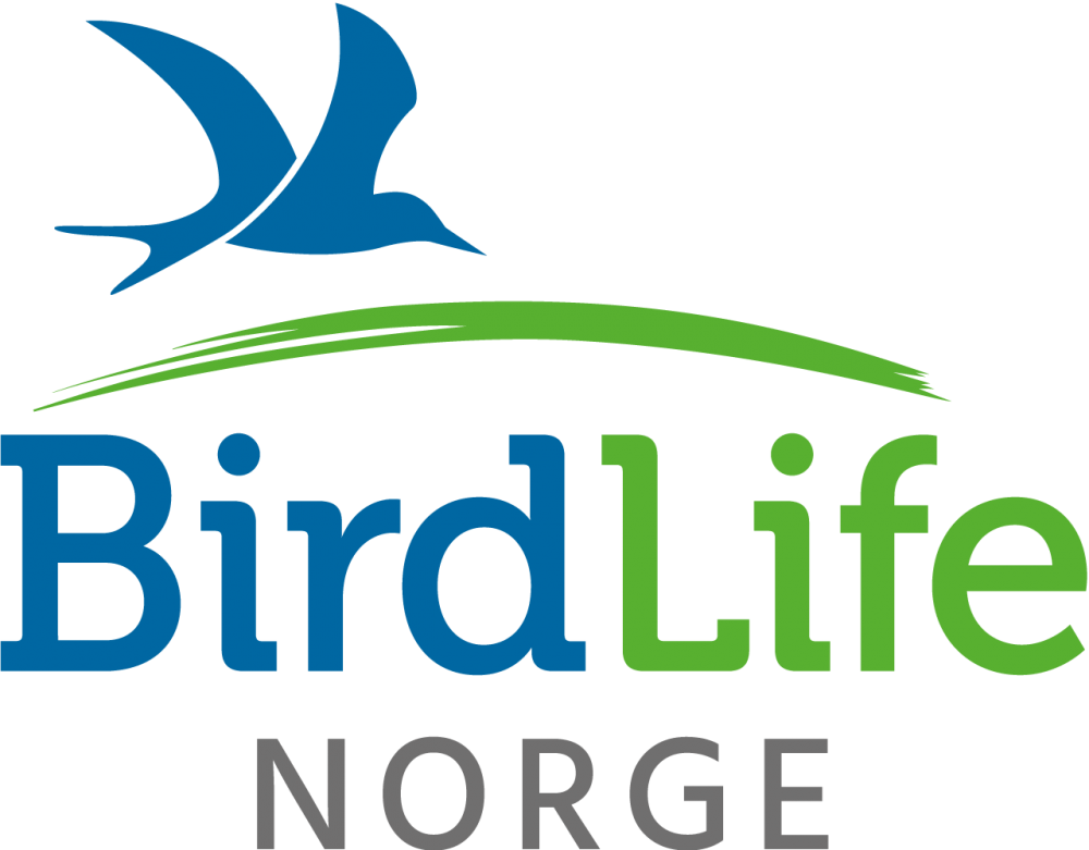 Birdlife Norge Logo